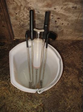 Equine dental examinations