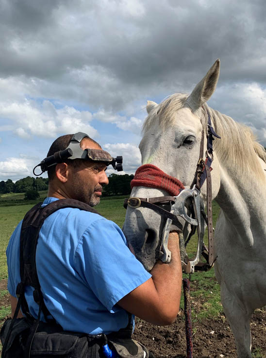 Wessex Equine Dentistry Services
